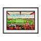 Crown Ground Stadium Fine Art Print - Accrington Stanley FC